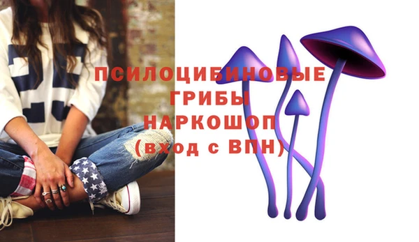 спиды Новозыбков