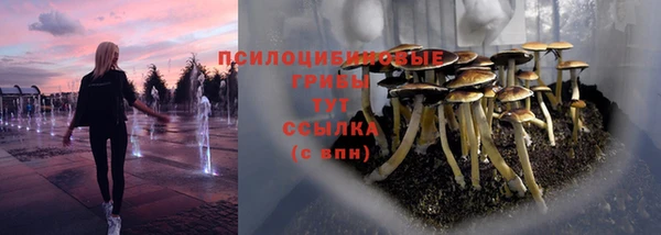 прущие крисы Нея
