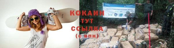 спиды Новозыбков