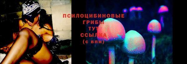 спиды Новозыбков