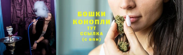 молекула духа Новодвинск