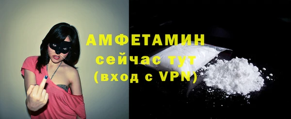 спиды Новозыбков