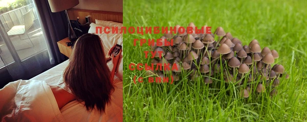 прущие крисы Нея
