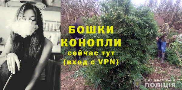 молекула духа Новодвинск