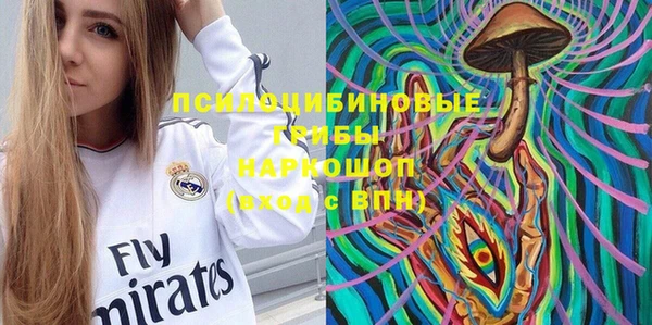 спиды Новозыбков