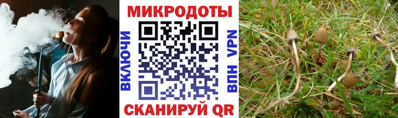 Галлюциногенные грибы MAGIC MUSHROOMS  где можно купить   площадка наркотические препараты  Лянтор 